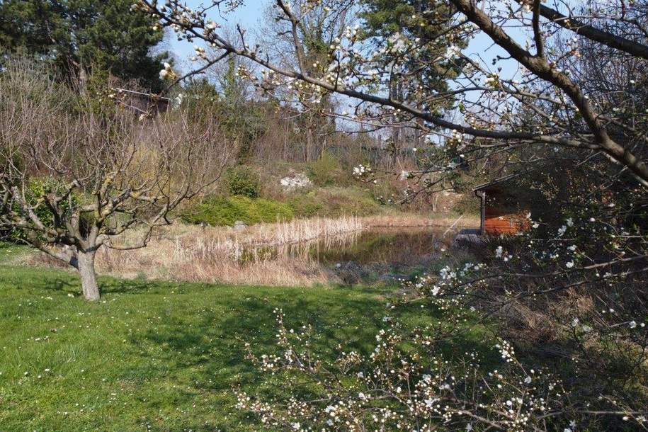 "Exklusives Refugium mit Biotop & 3.000 qm Gartenparadies!", Haus-kauf, 1.590.000,€, 2344 Mödling
