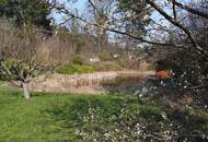 "Exklusives Refugium mit Biotop & 3.000 qm Gartenparadies!"