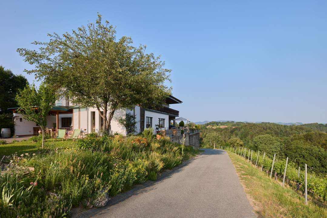 Weingut in einmaliger Alleinlage in der Südweststeiermark
