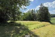 **Charmantes 4-Zimmer-Haus mit Pool, großem Grundstück & traumhafter Aussicht im SÜDBURGENLAND!**