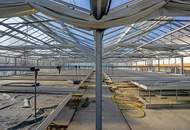 Gärtnerei nahe Tulln &amp; Wien: Betriebsimmobilie mit Glashäusern, Außenflächen, Lagerhalle und Wohnhaus