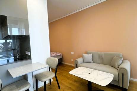 Erstbezug!!! 12 Stock - Studio-Apartment inkl. Doorman, Gym, Sauna, Pool, Bar, Eventlounge, Wohnung-miete, 2.199,54,€, 1220 Wien 22., Donaustadt