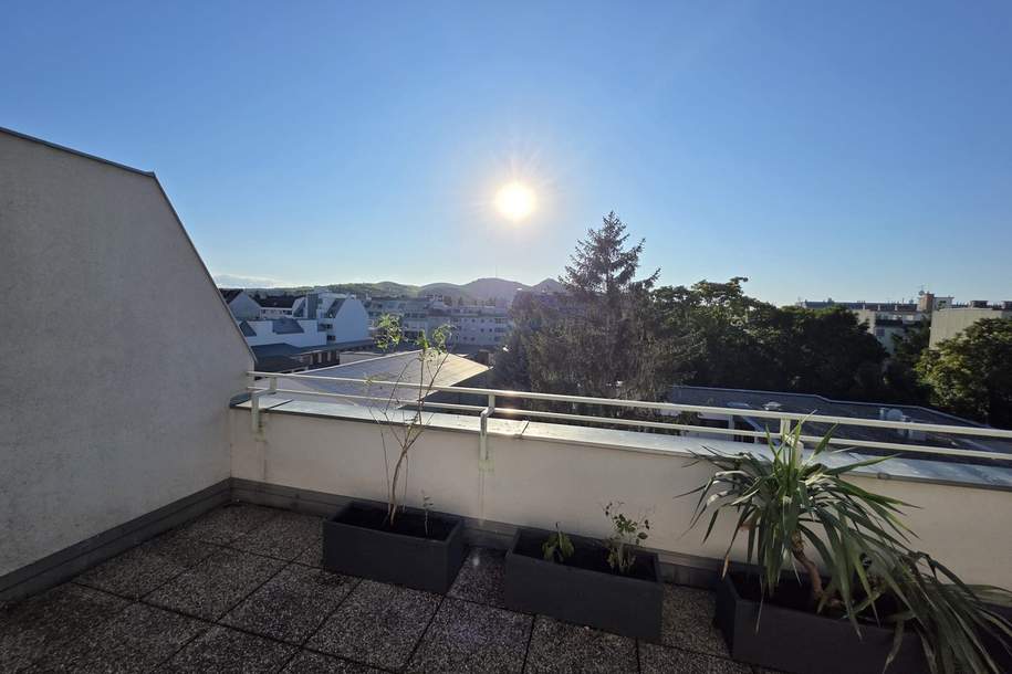 3 Zimmer- Wohnung mit großer uneinsehbarer Terrasse und einer weiteren kleinen Terrasse, Wohnung-miete, 1.290,00,€, 1210 Wien 22., Donaustadt
