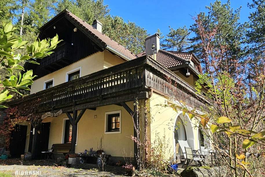 Das Haus im Wald, Haus-kauf, 295.000,€, 2763 Wiener Neustadt(Land)