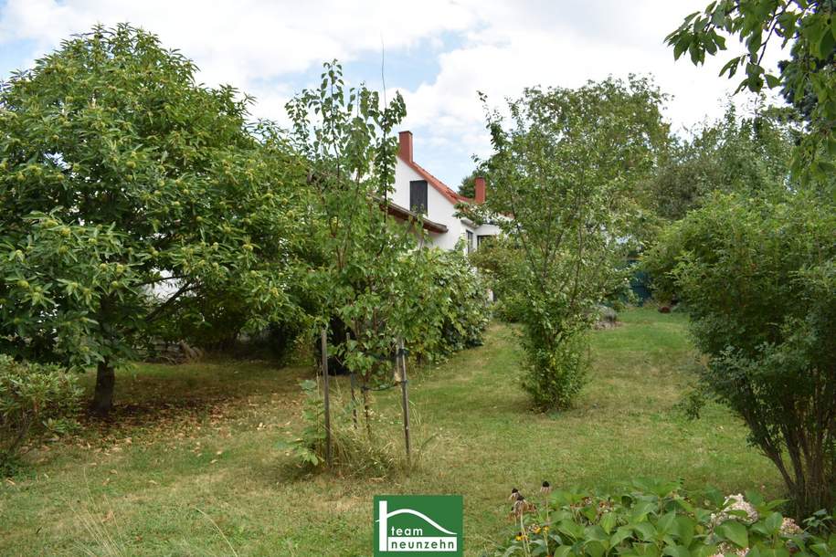 Ländliche Idylle im Burgenland: Charmantes Landhaus mit 4 Zimmern, 130 m², Garten, Terrasse, u.v.m.. - WOHNTRAUM, Haus-kauf, 290.490,€, 7323 Oberpullendorf