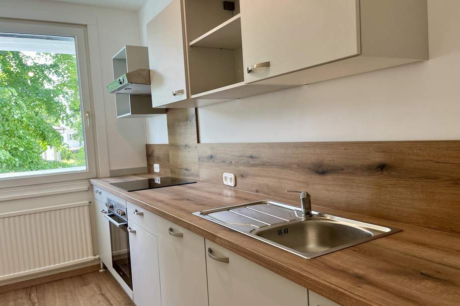 Stilvoll sanierte 3-Zimmer-Wohnung in attraktiver Lage, Wohnung-kauf, 325.000,€, 2500 Baden