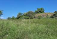 Traumhaftes Baugrundstück in Thallern: 4392 m² für Ihr Eigenheim um nur 249.000 €!