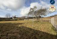 Sanierungsbedürftiges Landhaus mit großer GARTENFLÄCHE