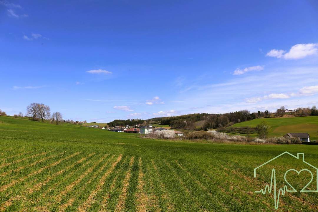 Bauen Sie Ihr Traumhaus in Olbendorf/Burgenland - Grundstück in Ruhelage mit Panoramablick zum Kauf!