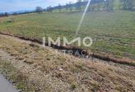 Schöne landwirtschaftliche Flächen in Neukirchen bei Lambach im Ausmaß von ca. 16.400 m²