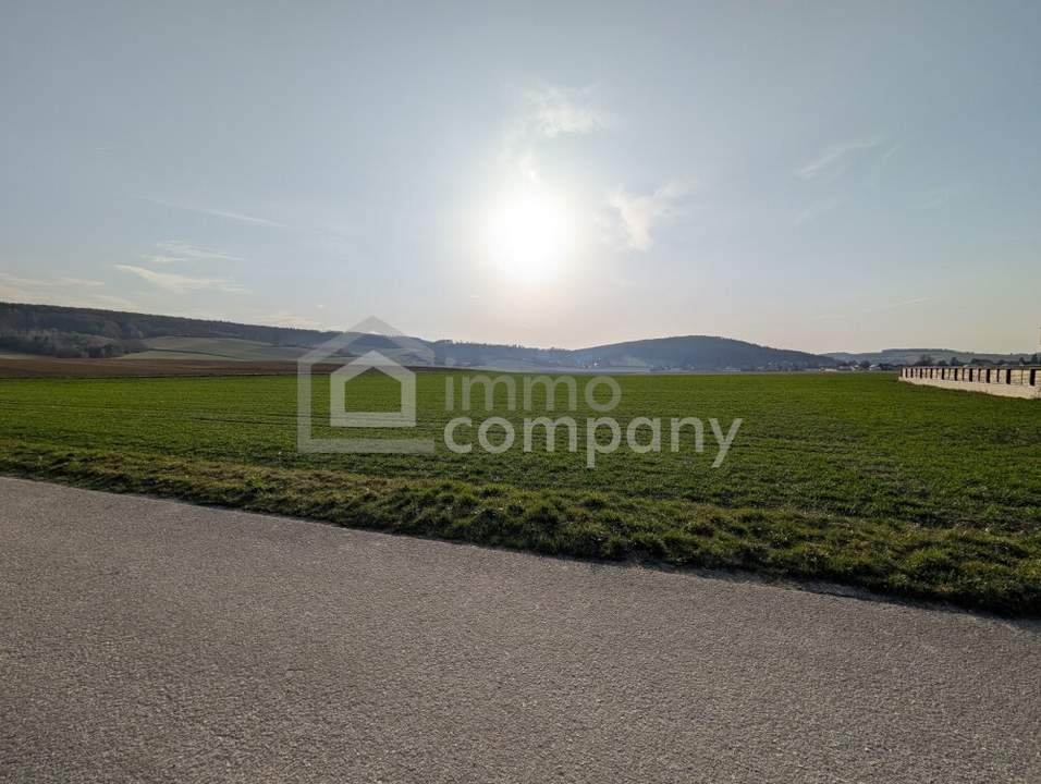 Sonniger sehr ruhiger Baugrund über der Hochwassergrenze