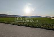 Sonniger sehr ruhiger Baugrund über der Hochwassergrenze