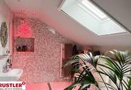 Loft im historischen Ambiente mit Weitblick
