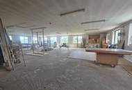 Halle zu verkaufen / Mietoption möglich 1,50€ p. m2