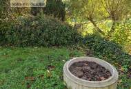 Naturnahes Paradies | Schrebergarten mit Gartenhütte