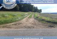 Acker bei Maissau - 3,42 ha landwirtschaftliche Nutzfläche!