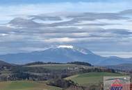 Kleines Knusperhaus mit Wohnrecht!