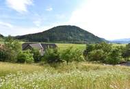 Baugrund in der Nähe von Feldkirchen