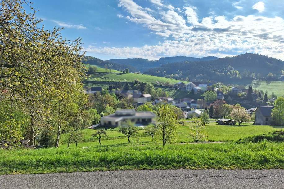 Leben mit Weitblick – Hanglage ohne Bauzwang, Grund und Boden-kauf, 65.000,€, 4204 Urfahr-Umgebung