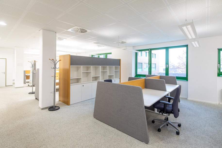 Moderne Bürofläche mit Großraum, Besprechungszimmer und Tiefgarage | Wien 22, Gewerbeobjekt-miete, 3.127,84,€, 1220 Wien 22., Donaustadt
