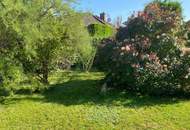 Hier zieh ich ein - Einfamilienhaus mit großem Garten in Kottingbrunn! Ankaufstest vorhanden!