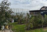 Traum vom leistbaren Haus im SÜDBURGENLAND