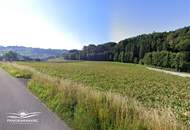 Panoramahang Frannach (Provisionsfrei)