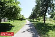 Charmantes Bauernsacherl mit Nebengebäuden - Dorfgebietwidmung, großzügigem Baugrundstück und Grünland