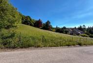 Traumgrundstück mit Weitblick in exklusiver Lage, Nr. 2