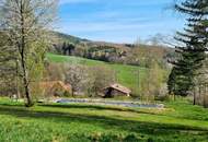 RARITÄT - IDYLLE PUR!! LANDHAUS MIT AUSBLICK IN SONNIGER RUHELAGE