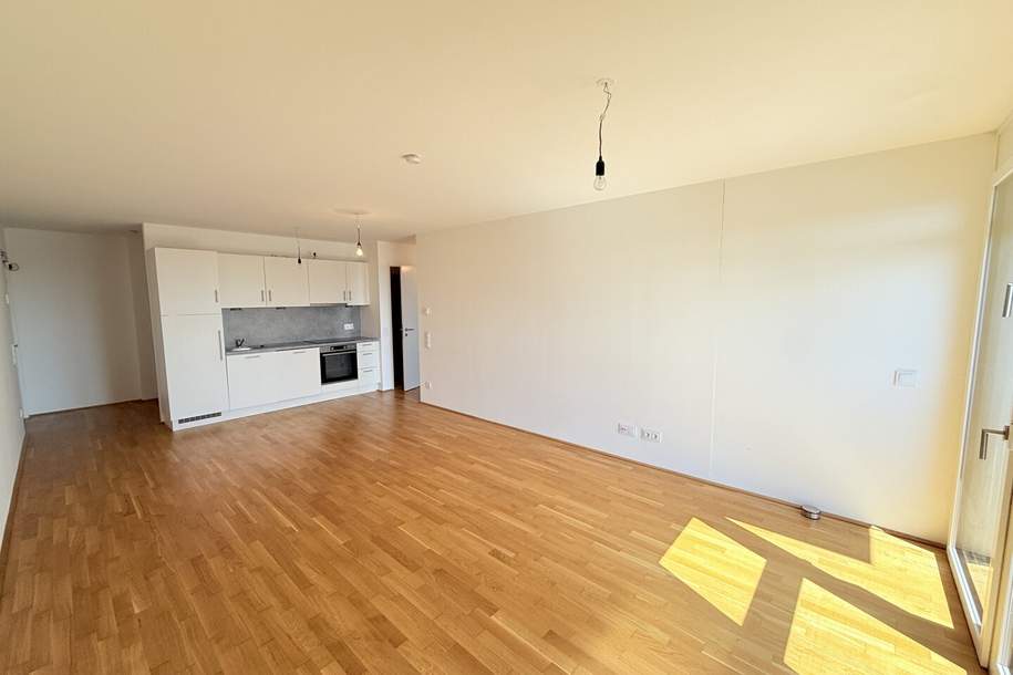 Ruhig aber doch zentral gelegene 3-Zimmer Wohnung in der Donaustadt - ab sofort verfügbar, Wohnung-miete, 1.199,00,€, 1220 Wien 22., Donaustadt
