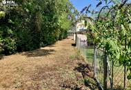 ELEGANTE SYMBIOSE aus ALTBAU und NEUBAU - 4 ZIMMER, TERRASSEN, GARTEN, WEINKELLER