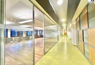 360 TOUR // LOFTBÜRO IN WIENER BÖRSE