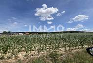 Provisionsfrei !!! Leben in der Natur nur noch 2 Häuser frei