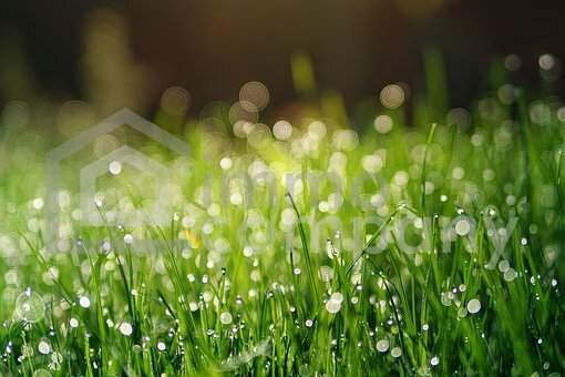 ICH BAU MIR MEIN HAUS - Grunstück in ruhiger Lage - Aufschließungskosten bereits bezahlt!