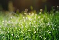 ICH BAU MIR MEIN HAUS - Grunstück in ruhiger Lage - Aufschließungskosten bereits bezahlt!