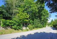 Großzügiges Baugrundstück mit Abbruchhaus und Grünlandanteil im Irenental