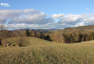 Landwirtschaftliches Anwesen mit mehr als 58 ha Grund!!!!!!