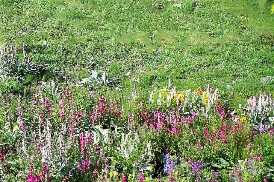 Attraktive und ruhige Lage - Sonniges Grundstück mit Altbestand! Preis auf Anfrage!, Grund und Boden-kauf, 8047 Graz(Stadt)