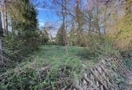 großes Grundstück mit Altbestand zu verkaufen