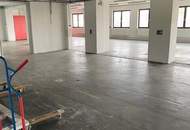 Nähe Oberwart: Große Halle/Gewerbeobjekt mit viel Nutzfläche!