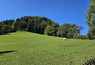 KAUFANBOT VORLIEGEND: Haus in einzigartiger Alleinlage mit toller Aussicht!