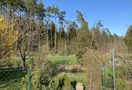Provisionsfrei - Schönes Freizeitgrundstück mit Obstgarten
