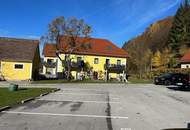 Zinshaus mit 14 Wohnungen und Erweiterungsfläche- Liebevoll renoviertes ehemaliges Herrenhaus einer Sensenschmiede