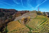 Weingarten mit Landwirtschaft in Kranach, Gemeinde Gamlitz ( ZONE III )