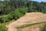 Baugrund in der Nähe von Feldkirchen