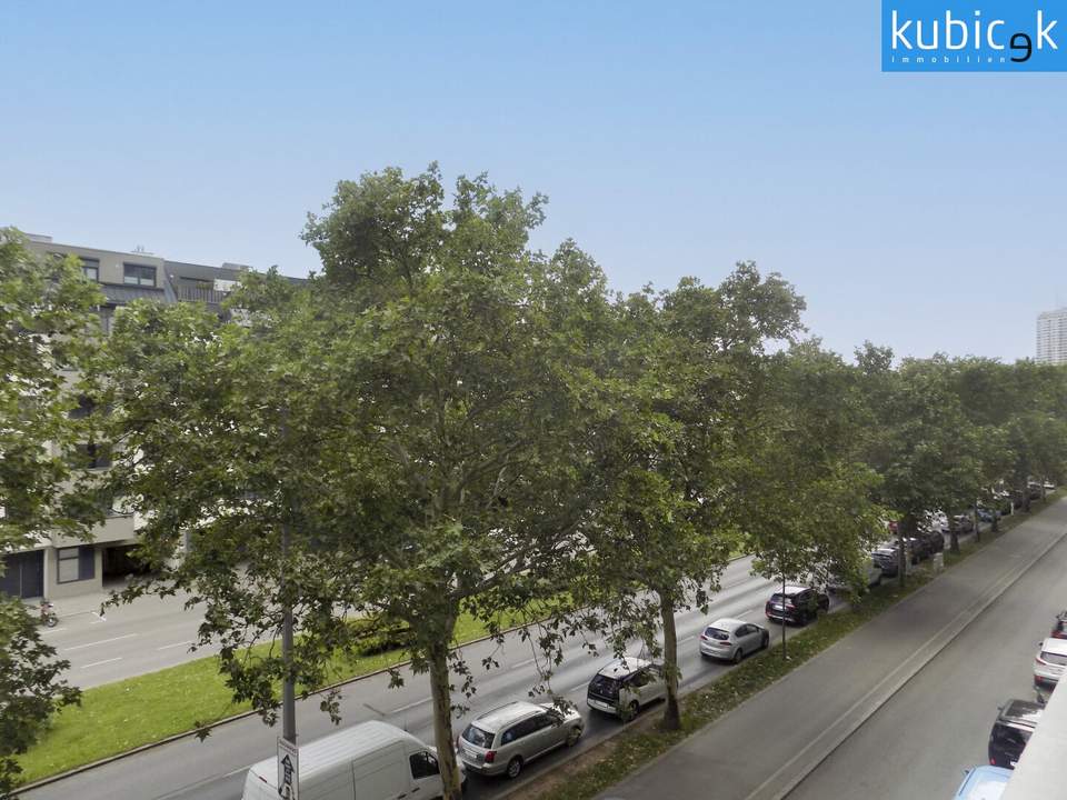 Klimatisierte Nichtraucherwohnung - Nähe Alte Donau/Uno City