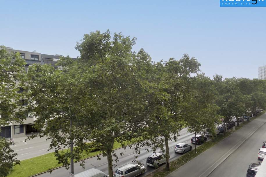 Klimatisierte Nichtraucherwohnung - Nähe Alte Donau/Uno City, Wohnung-miete, 750,00,€, 1220 Wien 22., Donaustadt