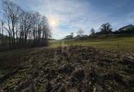 WOHNEN AUF HÖCHSTEM NIVEAU, KEIN BAUZWANG- SÜDHANG IN RUHELAGE MIT ZENTRUMSNÄHE