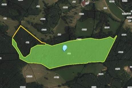 WALDGRUNDSTÜCKE, Grund und Boden-kauf, 260.000,€, 3202 Sankt Pölten(Land)